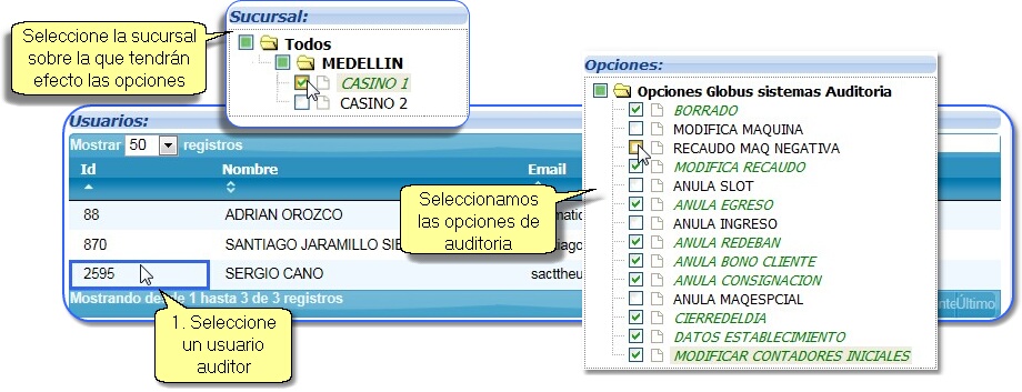 OpcionesAuditoria