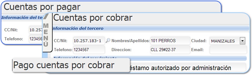 PresentacionPrestamosATerceros