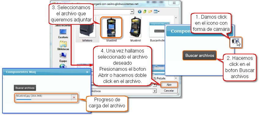 ProcesoCargaImagenes